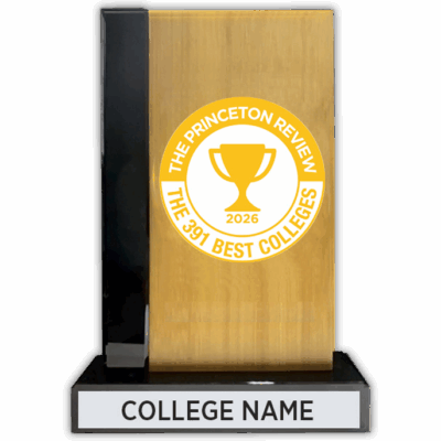 Bamboo Desktop Award