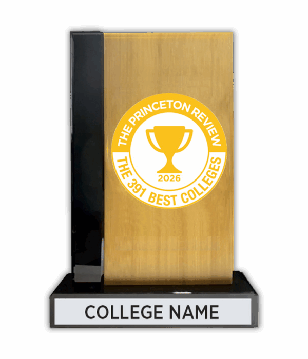 Bamboo Desktop Award