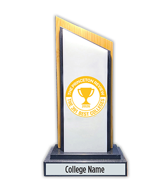 Bamboo Desktop Award