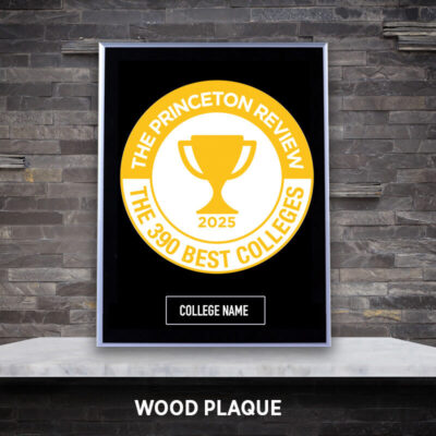 Plaque
