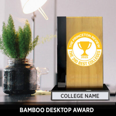 Bamboo Desktop Award