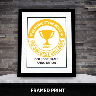 Framed Print