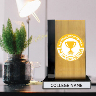 Bamboo Desktop Award