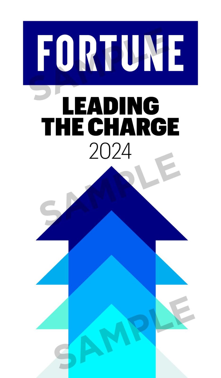 Accolades_Leading the Charge