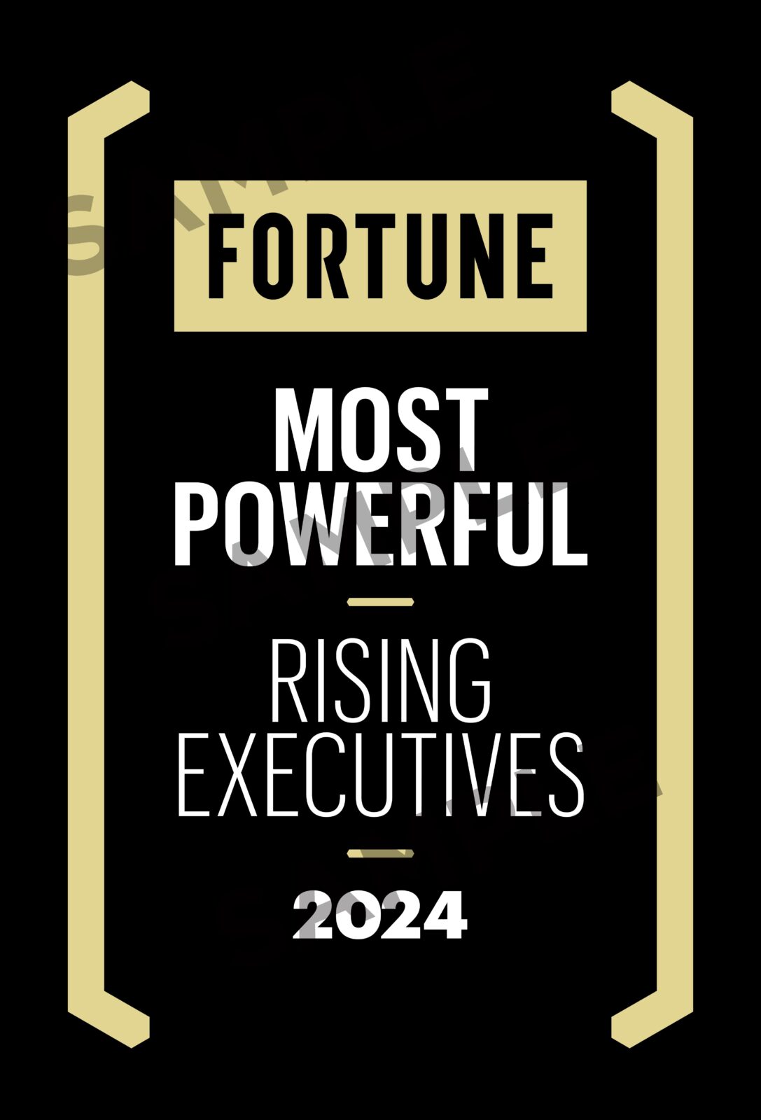 Fortune-Accolades-Most Powerful Rising Executives