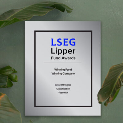 LSEG Lipper Fund Awards Metal Plaque
